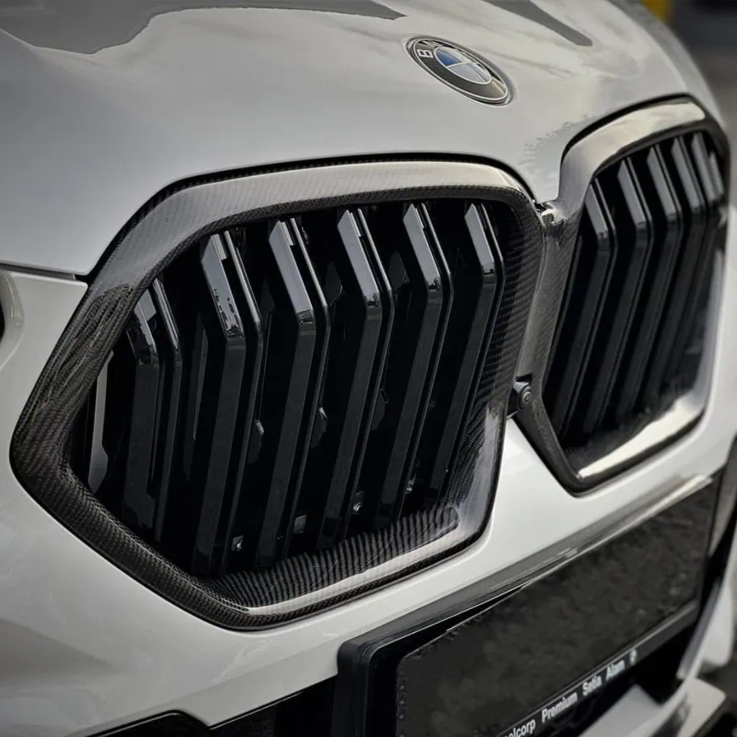 BMW X6 & X6M G06 F96 Griglie Anteriori Doppia Barra in Carbonio (2019-2022)